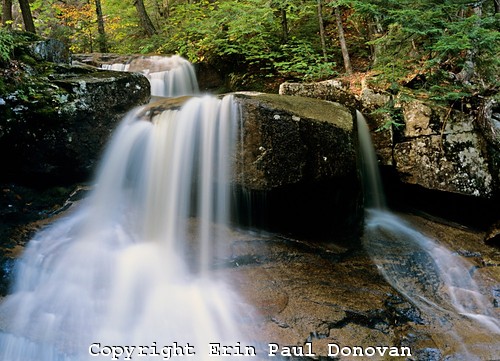 Ledge Brook - White Mountains, NH