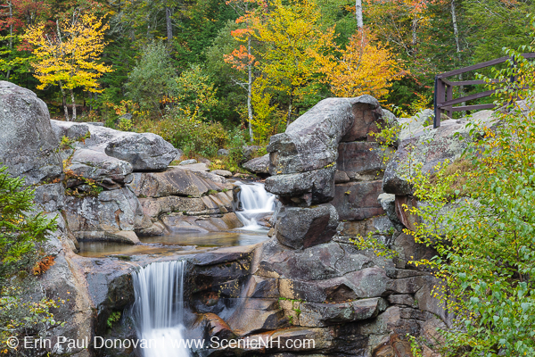 Foliage Report - White Mountains, New Hampshire Photography Images