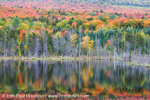 Autumn Foliage Viewing - White Mountains, New Hampshire USA