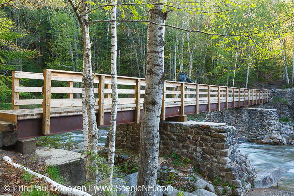 Forgotten Trestles - East Branch & Lincoln Railroad Photos