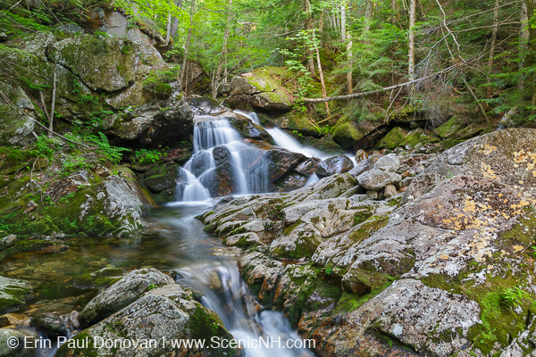 Cold Brook Cascades - White Mountains, New Hampshire