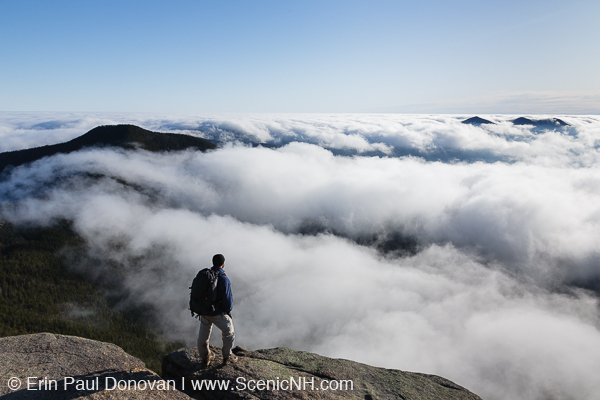 Conservation Photography - White Mountains, New Hampshire